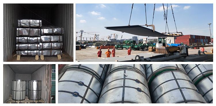 Galvanized Steel Coil