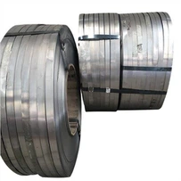 Thép cuộn cán nguội Q195