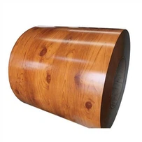Thép cuộn hạt gỗ PPGI