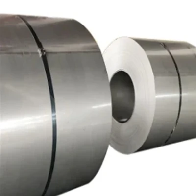 1.4362 Thép không gỉ dạng cuộn hai pha, Ferritic, Austenitic