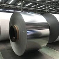 Cuộn Inox 310