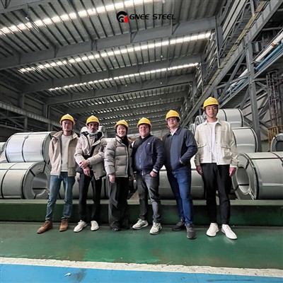 Khách hàng Ấn Độ được chào đón đến thăm nhà máy GNEE